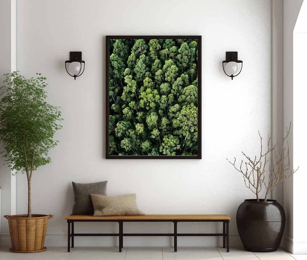 Lush Green Forest Aerial View Frame